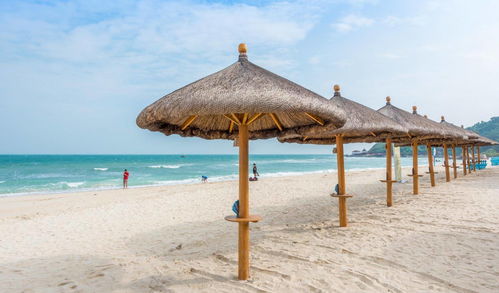 復星旅文錢建農(nóng) 豐富旅游產(chǎn)品，加強布局海南